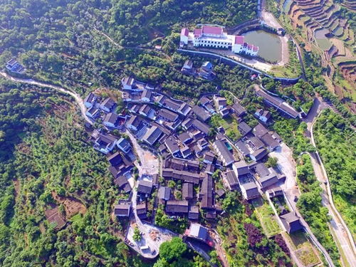 嵊州新昌人常去的免費寶地，如今榮膺國家4A級景區